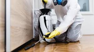 Real Estate Pest Inspections in Brookshire, TX